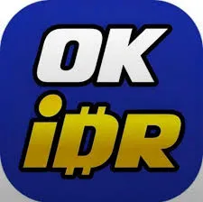 OKIDR - Aplikasi Belanja Dropship Terbaik untuk Semua